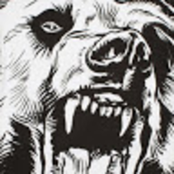 Meet your Posher, Alex - Picture 1 of 1